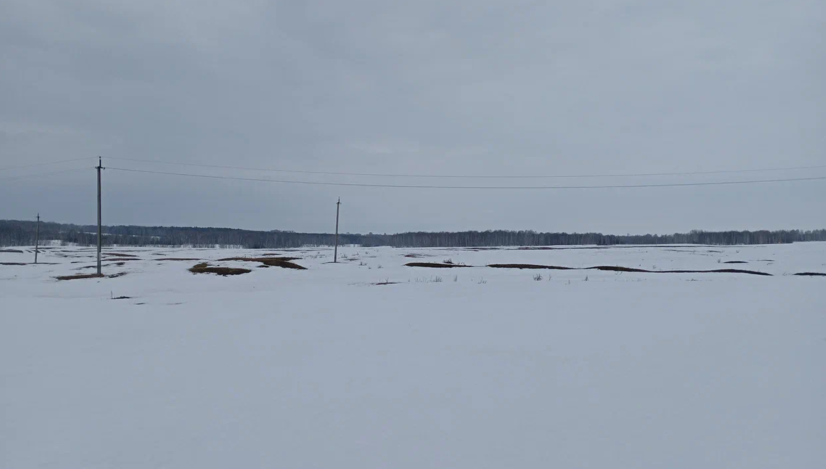 День 26 марта - "На заре я выйду в туман, или Разговор на свободную ...