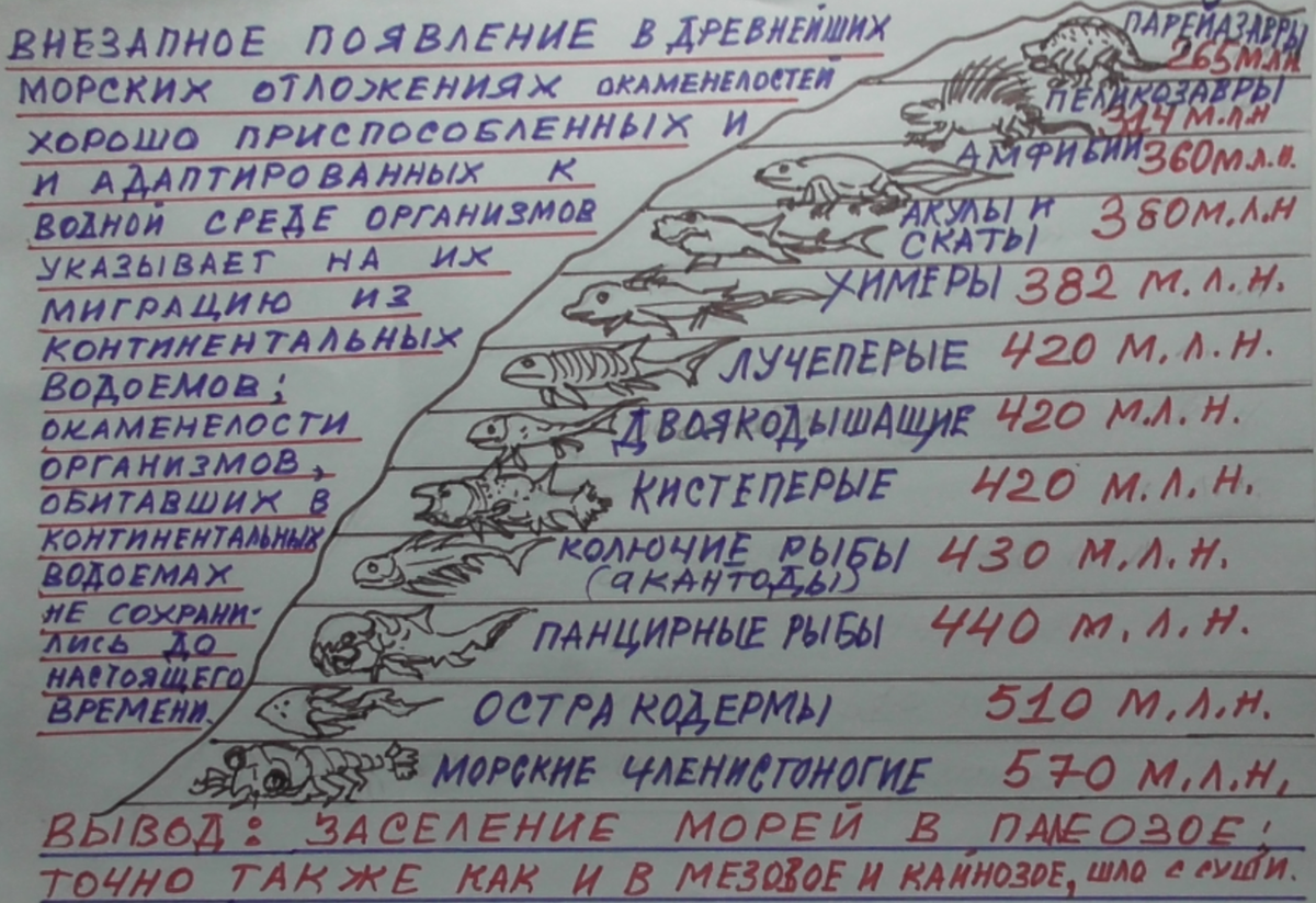 Заселение водной среды многоклеточными живыми организмами всегда идет с суши, а не наоборот.