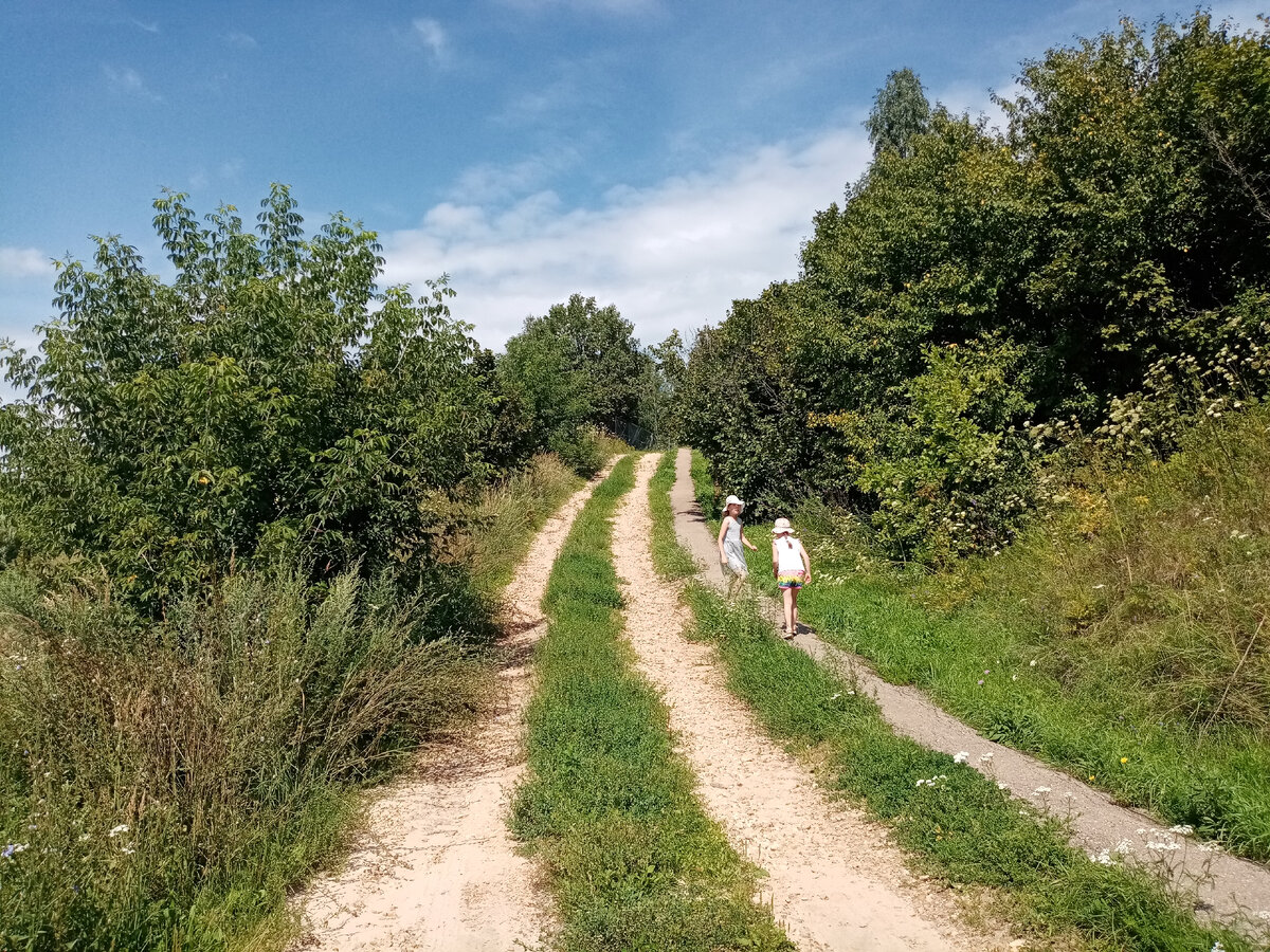 зеленое поле дорога. не та земля дорога. грязь на дороге. темное поле. проселочная грунтовая дорога.