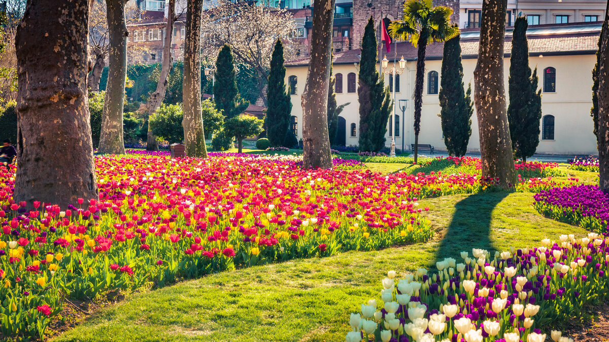 Стамбул сад гюльхане. Парк гюльхане тюльпаны. Пару гюльханке стамбул. Стамбул сад гюльхане. Парк гюльхане (г.