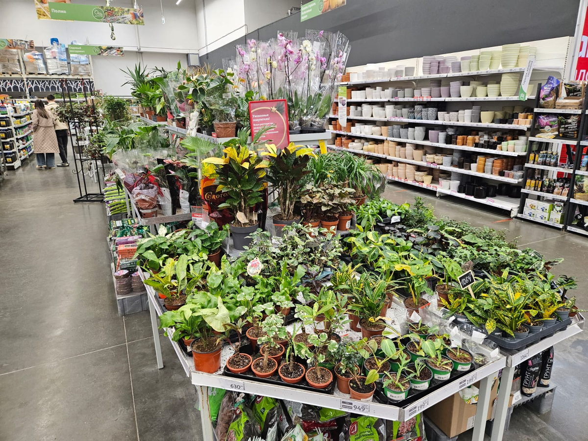 Прошелся по прилавкам - есть из чего выбрать 