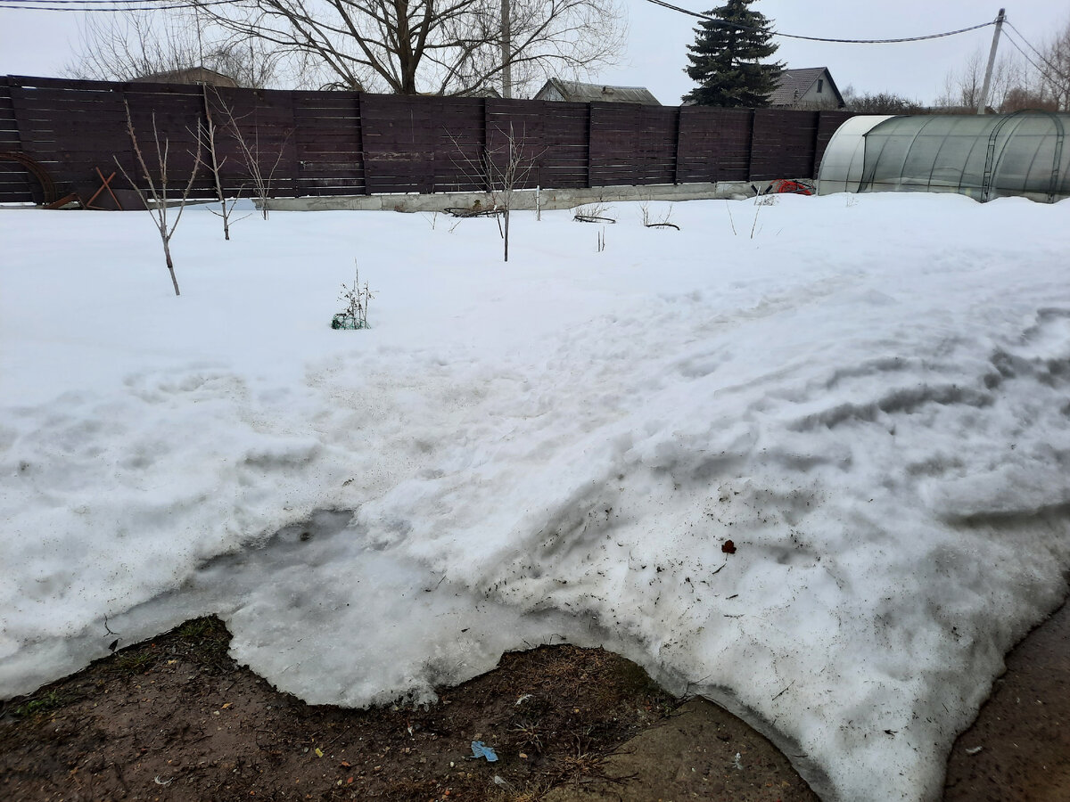 Так выглядит мой огород в конце марта.