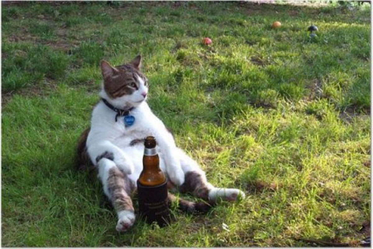 Фото с Яндекса