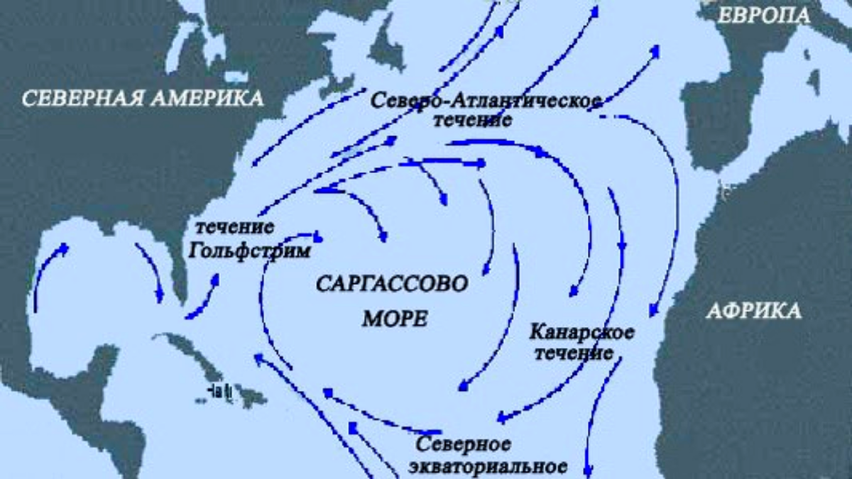 Саргассово море на карте. Гольфстрим и Северо-атлантическое течение. Саргассово море на карте Северной Америки. Саргассово море карта течений.