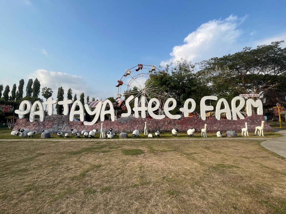 Паттайя овечья ферма (листайте карусель)