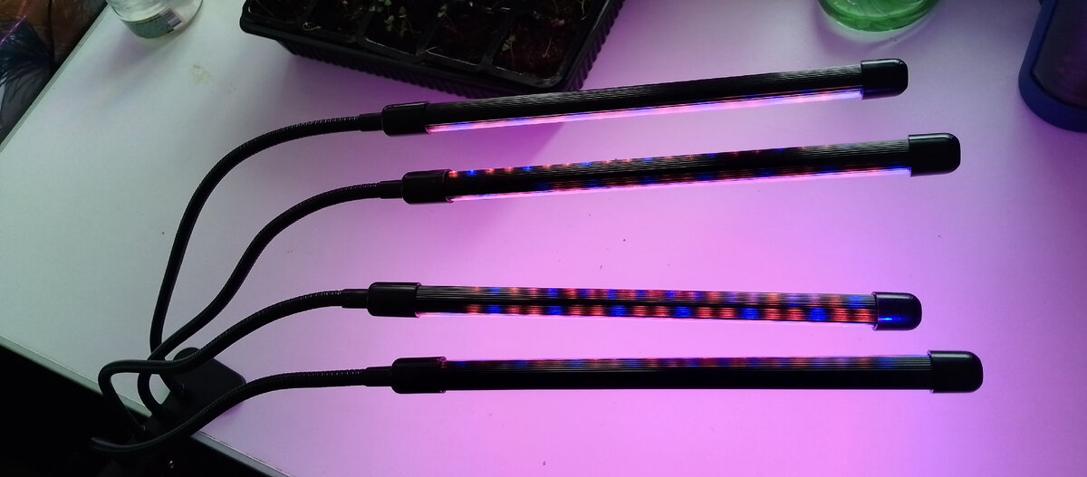 Синий для корешков, красный для вершков.