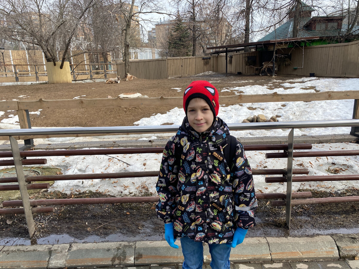 Фото автора. Хорошо, что зоопарк рядом, была возможность для манёвра 