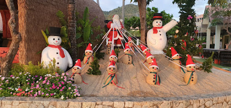 Песковики в Ао Нанге (Краби)