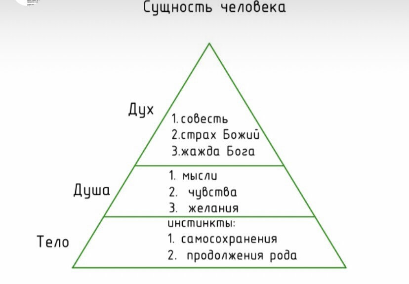 Человек трёхсоставен , и у каждой части есть свои потребности. 