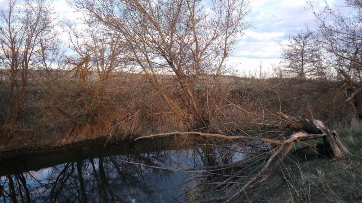    Из-за паводка в Саратовской области закрыли 7 мостов и дорогНовости Саратова и области – Сетевое издание «Репортер64»