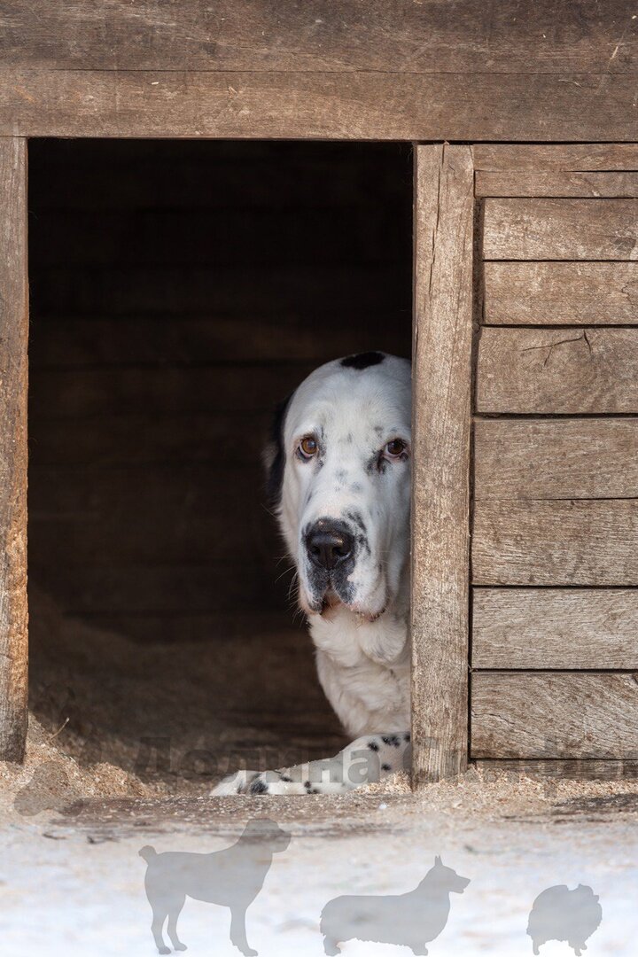 Долина скифов Чопан Атлы