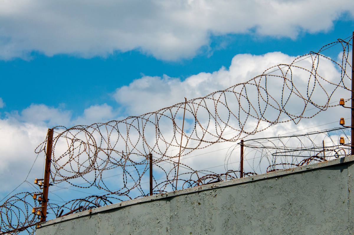 Фото: Svetlana Vozmilova/GlobalLookPress