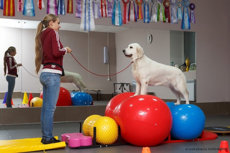 Создать карусельДобавьте описание