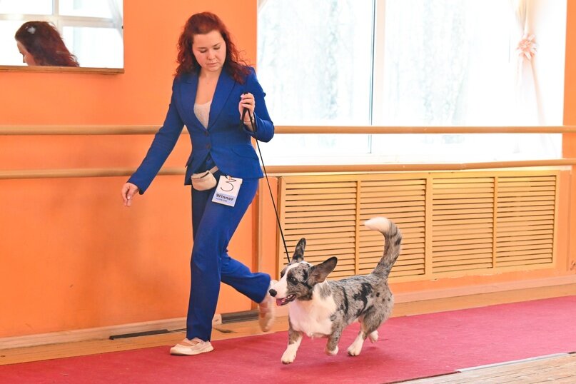 Создать карусельДобавьте описание