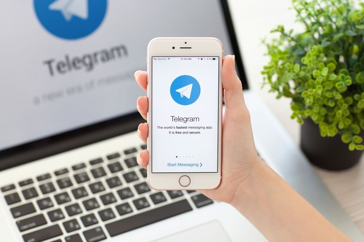 Эксперт Анучкин оценил вероятность блокировки Telegram в России после  теракта в Подмосковье | RuNews24.ru | Дзен