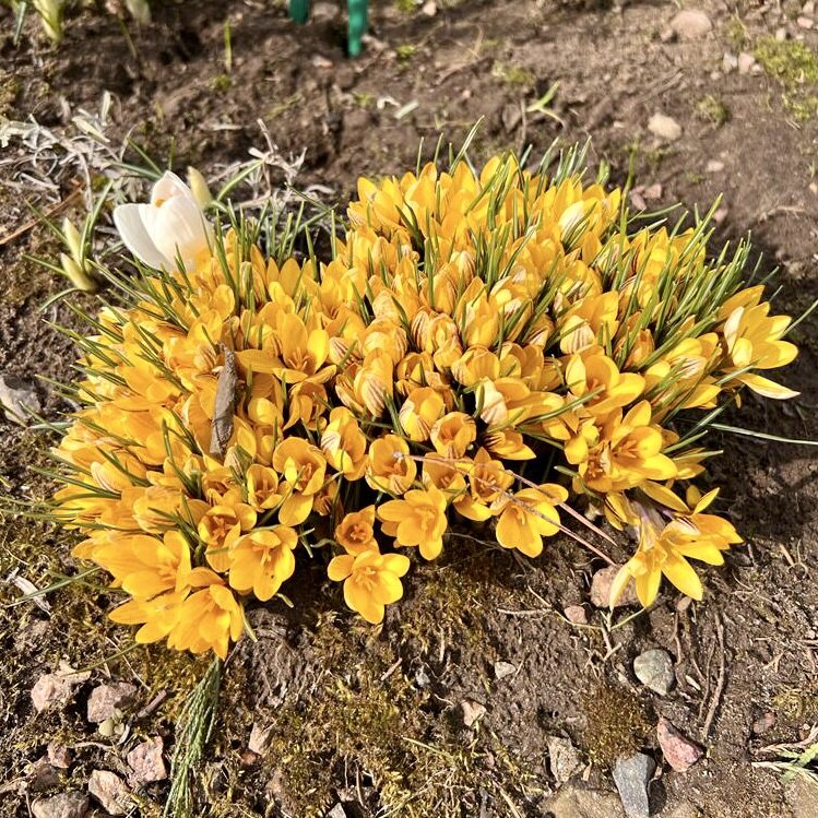 6 апреля 2022 года, Подмосковье 