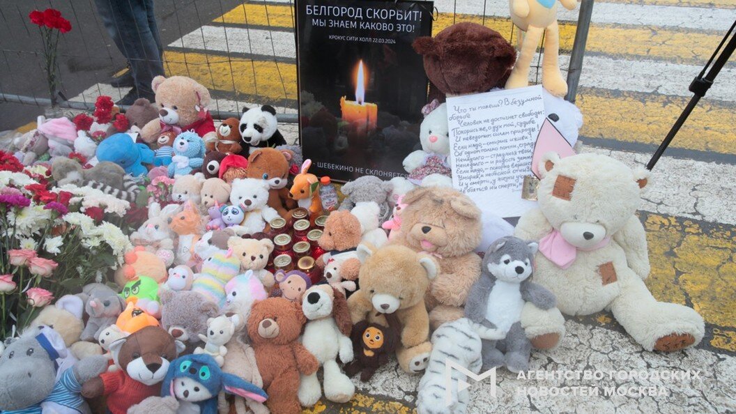    Источник: АГН Москва