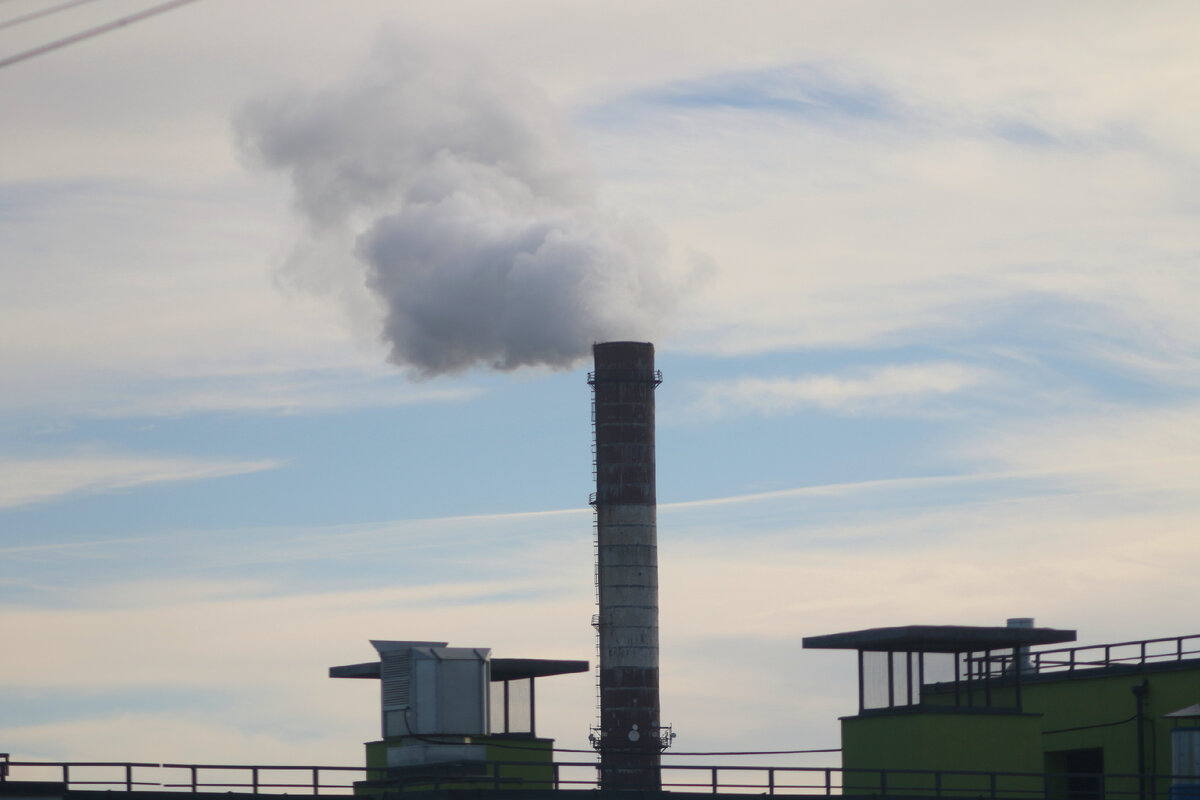 Фото: Maksim Konstantinov / Global Look Press 