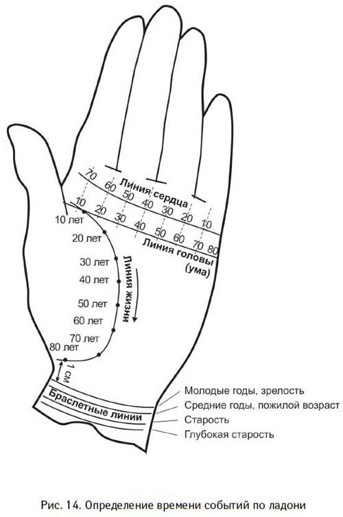 Датировка главных линий ладони. studopedia.ru