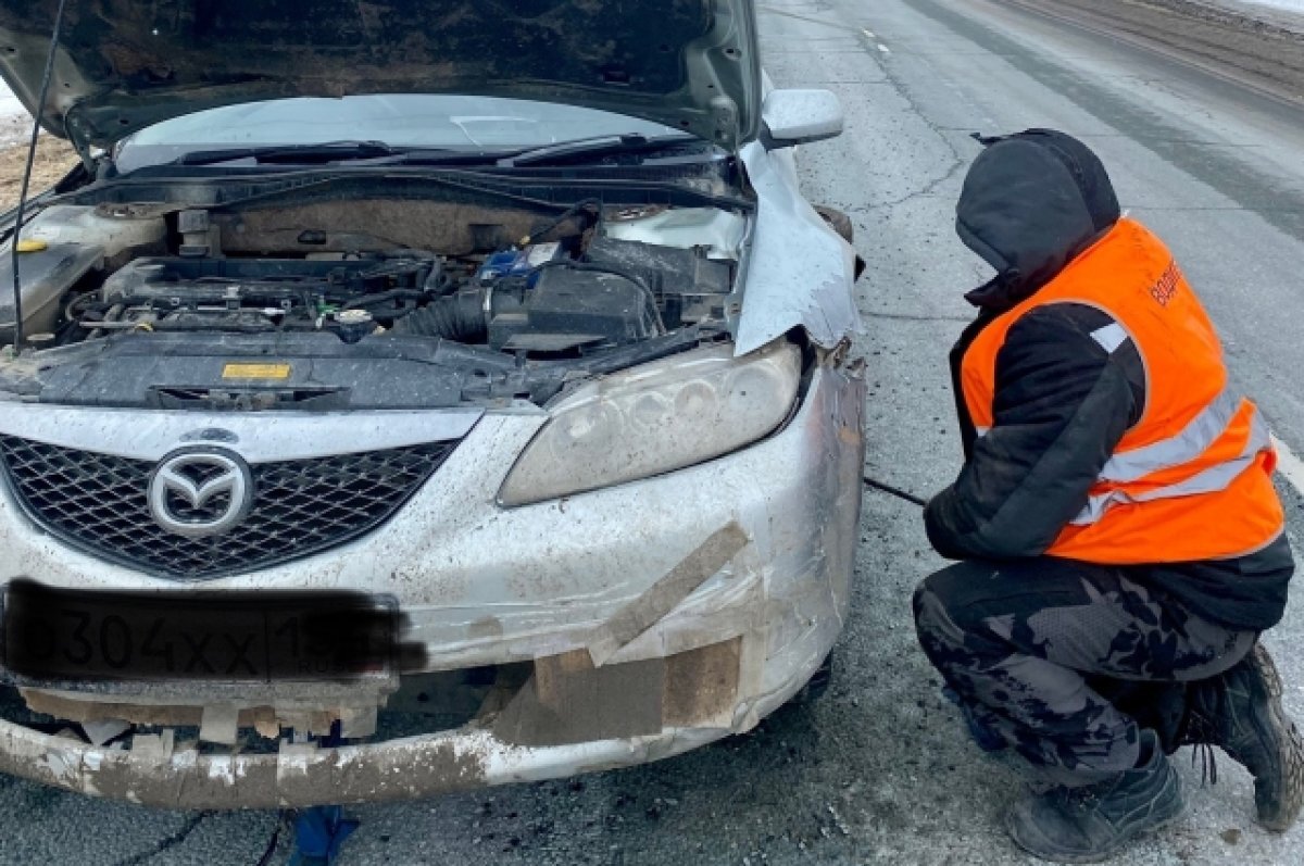    Водитель фуры помог женщине с двумя детьми на трассе под Новосибирском