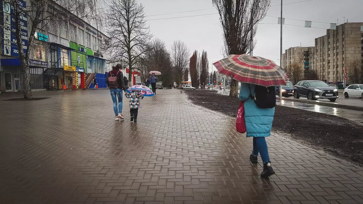 В Перми прогнозируется дождь, переходящий в сильный мокрый снег |  Properm.ru | Дзен