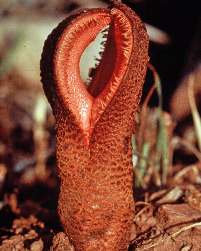 Красота - страшная сила.