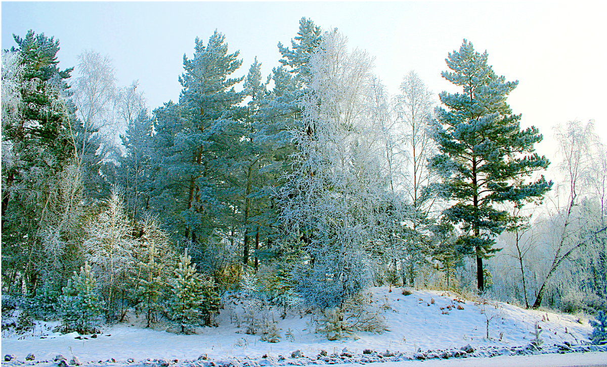Фотография, стихотворение Василия Глуцкого