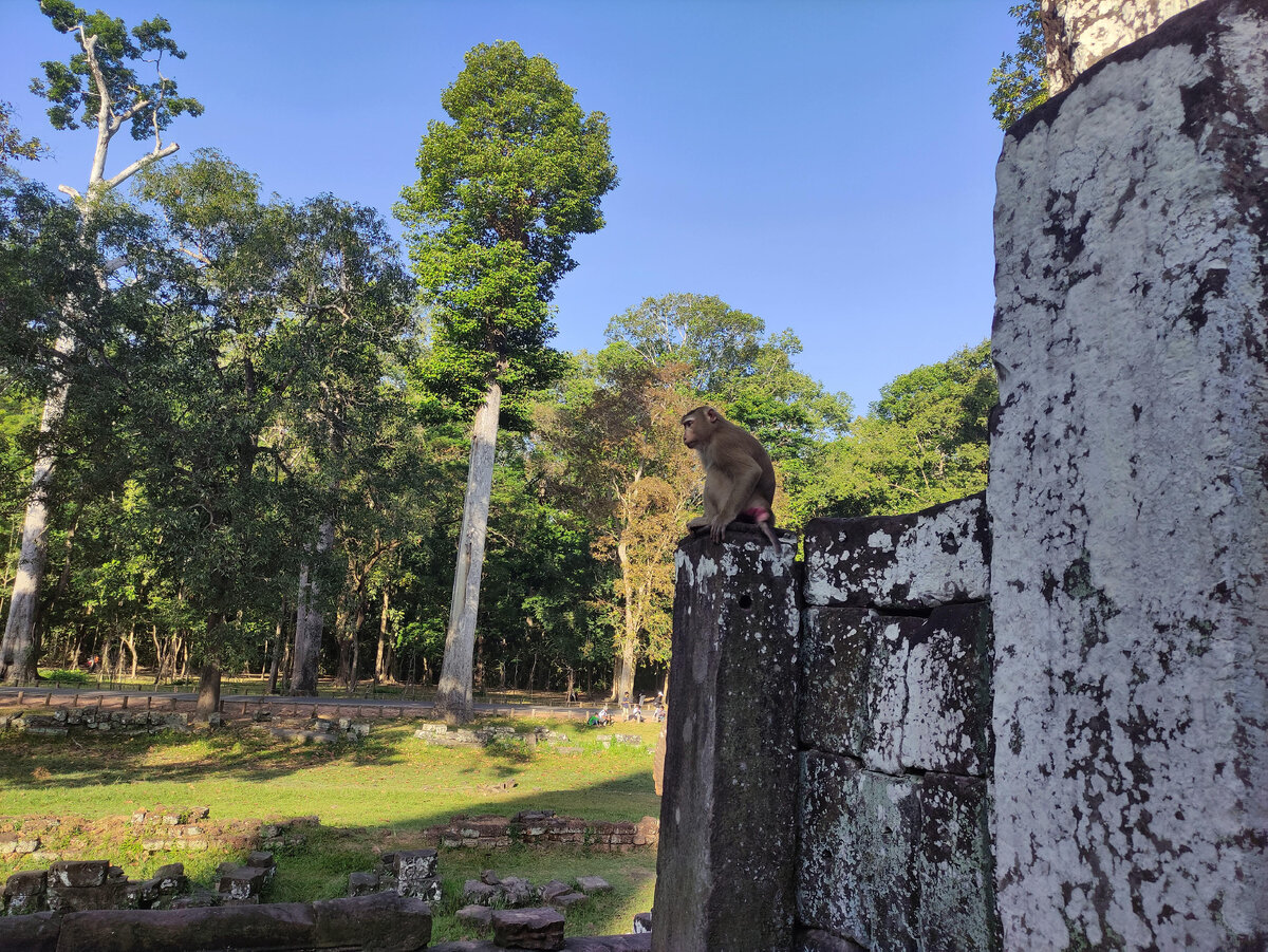 крючок gamakatsu ls-3614f. Ls888 usb sata. п2г-3-6п-6н цэ0. рп10-7 о вилка. крючки gamakatsu ls-1223f.