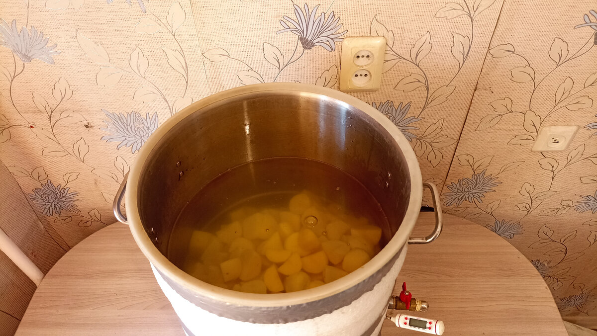 Брага на картошке. Самогон из картошки. Брага из картофеля на кодзи рецепт. Готовая брага на кодзи. Брага на картошке.