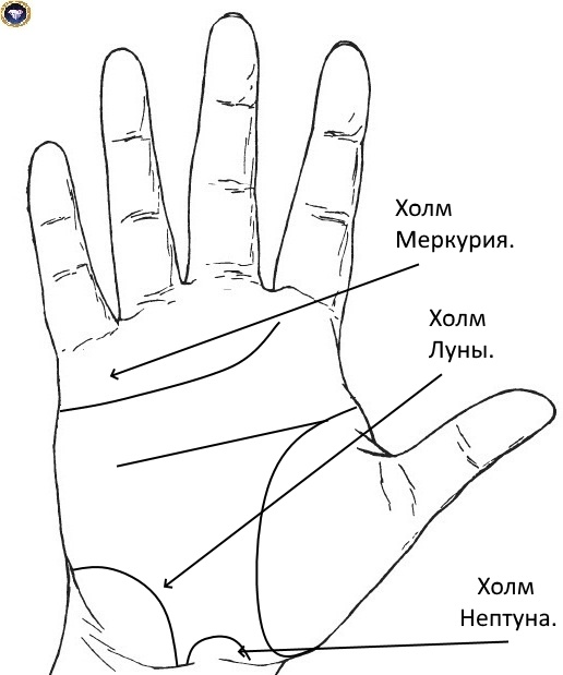 https://vk.com/hirokristall?z=photo-122866040_457298709%2Fwall-122866040_234548