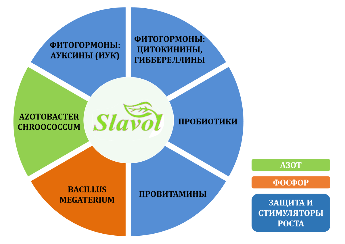 Состав микробиологического удобрения "Славол"