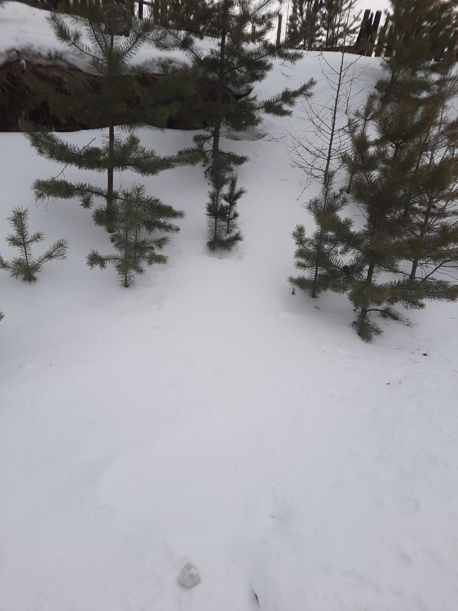 Фото автора.