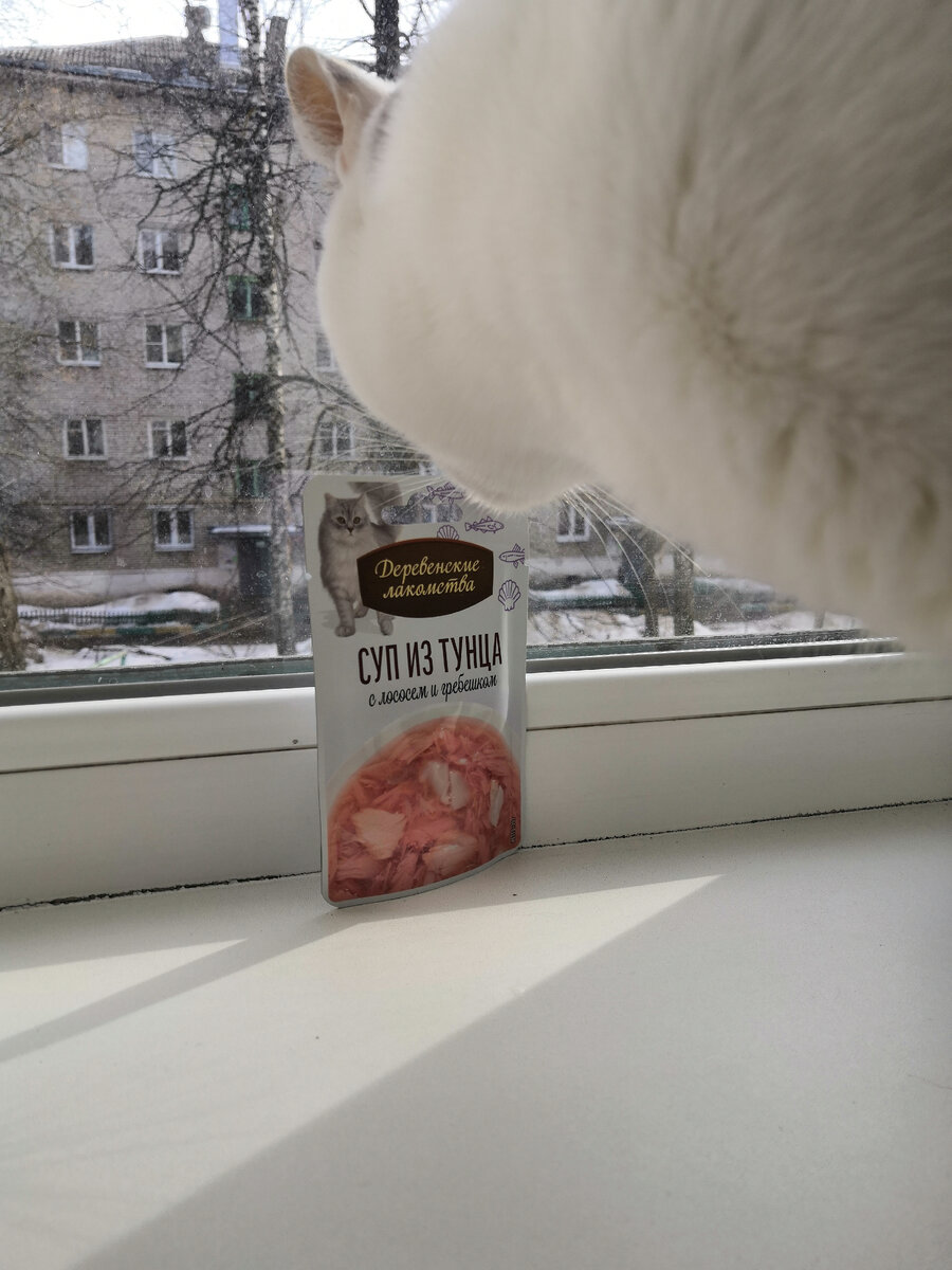 о! супец мой, а что он тут делает, почему не в моей миске