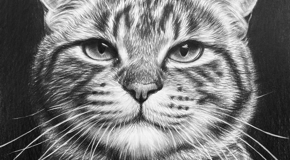 ✏️О пользе рисования