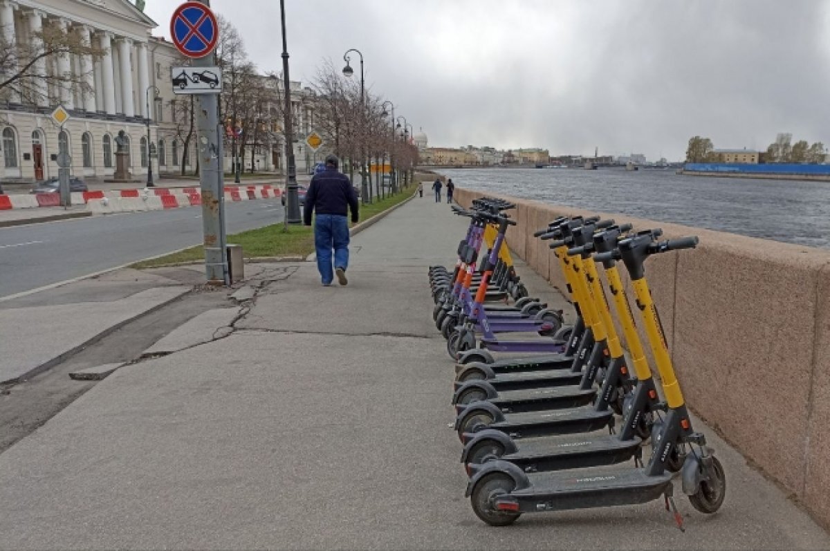 Прокатные самокаты Петербурга собираются оснастить номерными знаками | АиФ  – Санкт-Петербург | Дзен