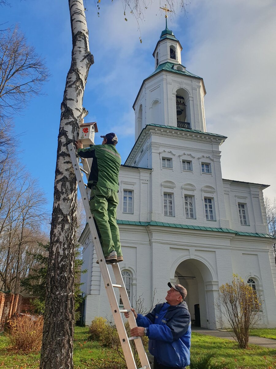 Листайте вправо, чтобы увидеть больше изображений