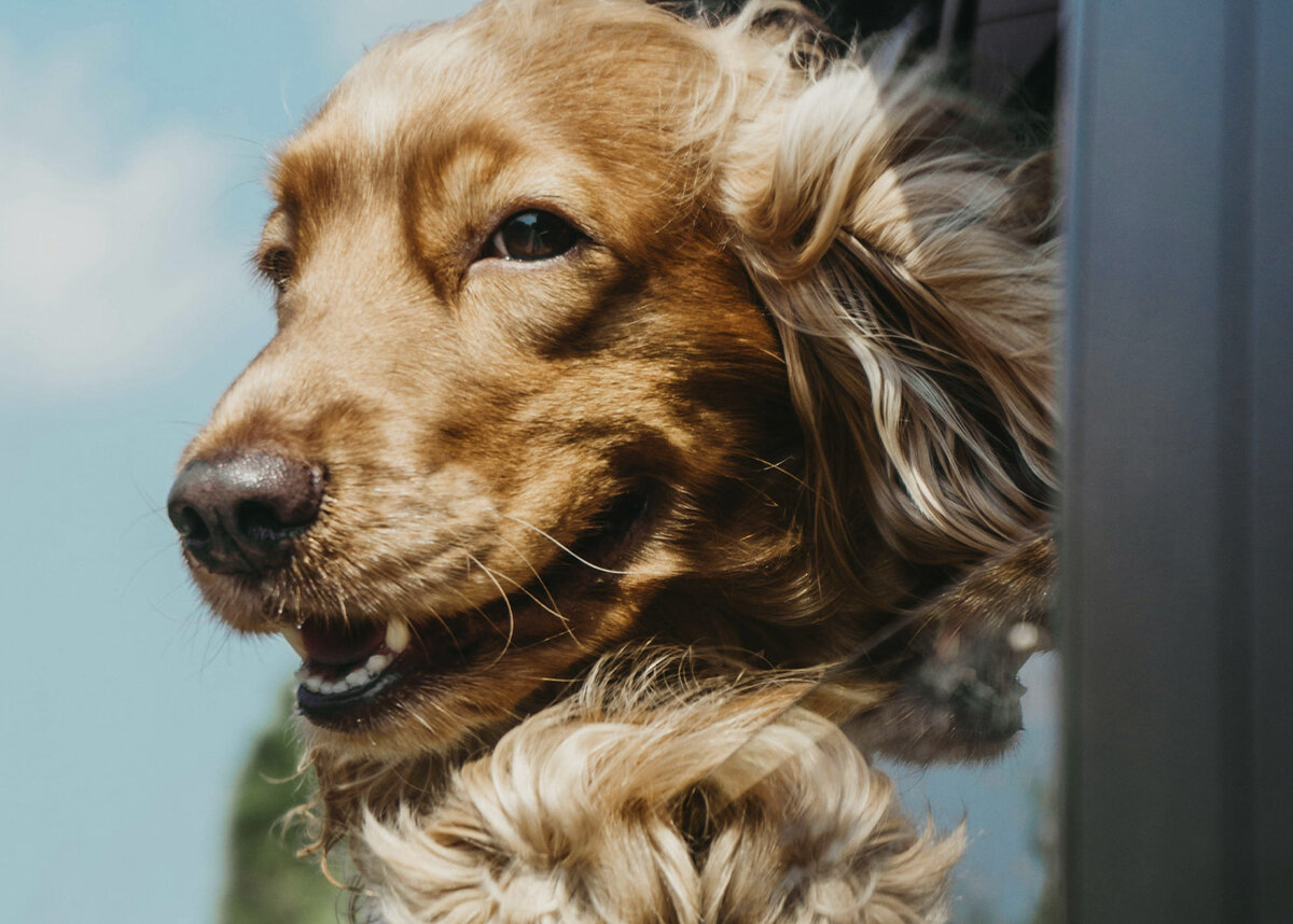 Фото / Ja San Miguel / unsplash.com