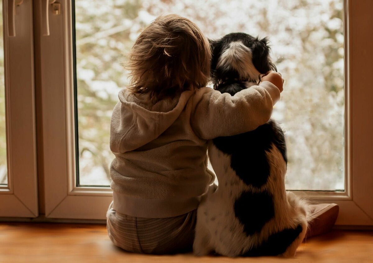 из открытых источников