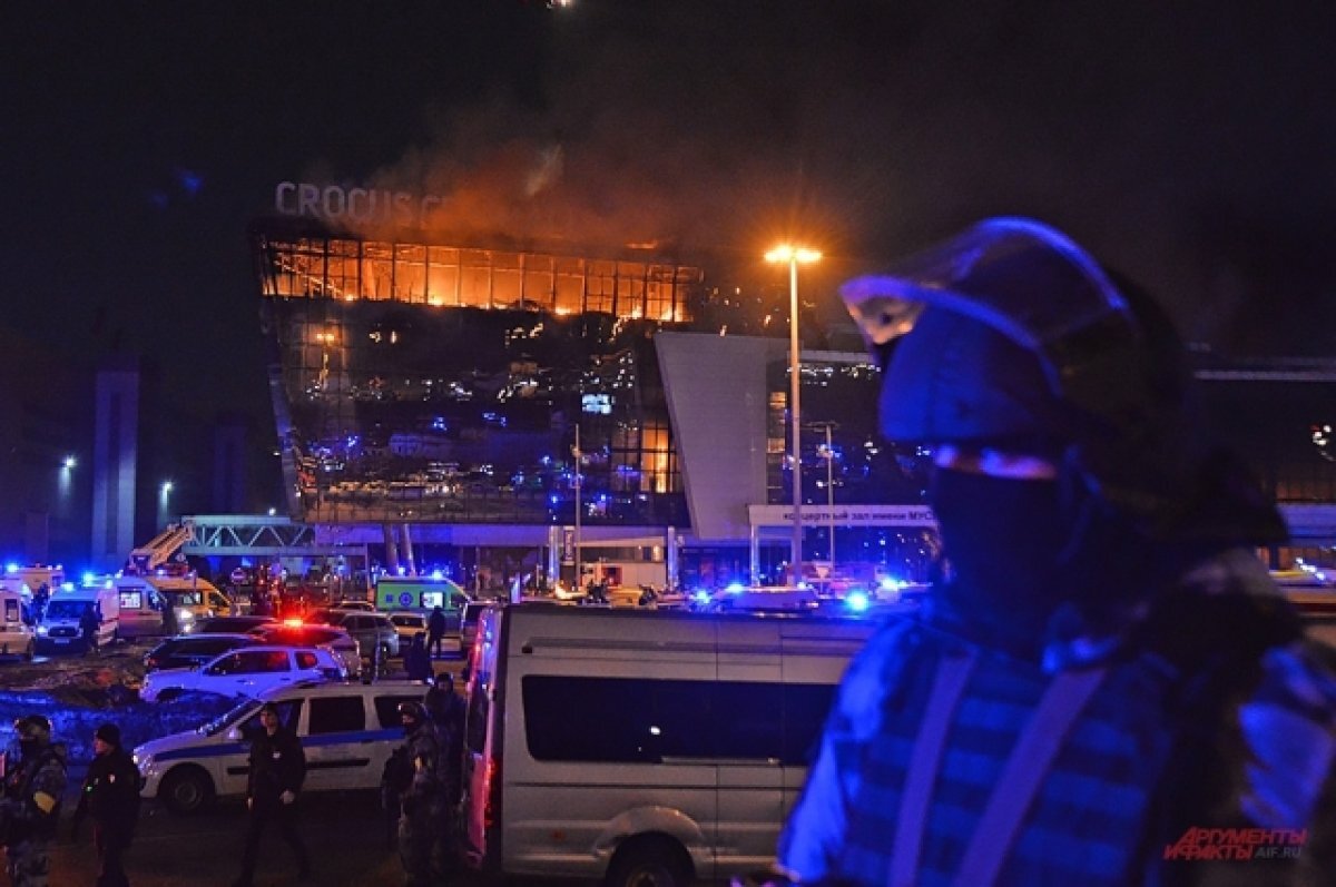    Эхо теракта.