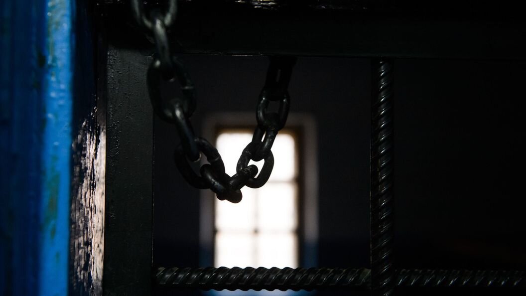    © Dmitry Chasovitin/Globallookpress