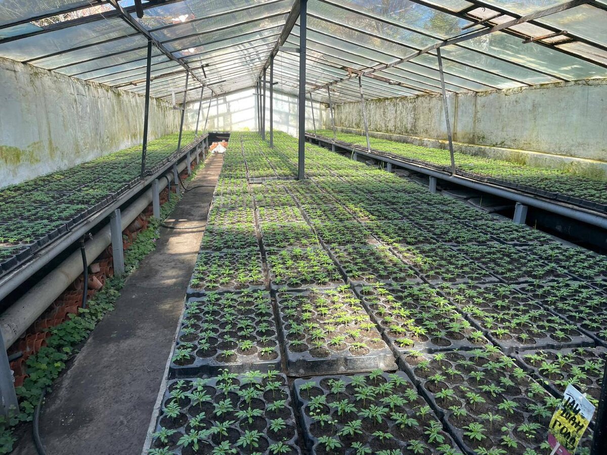    Фото: соцсети writ5