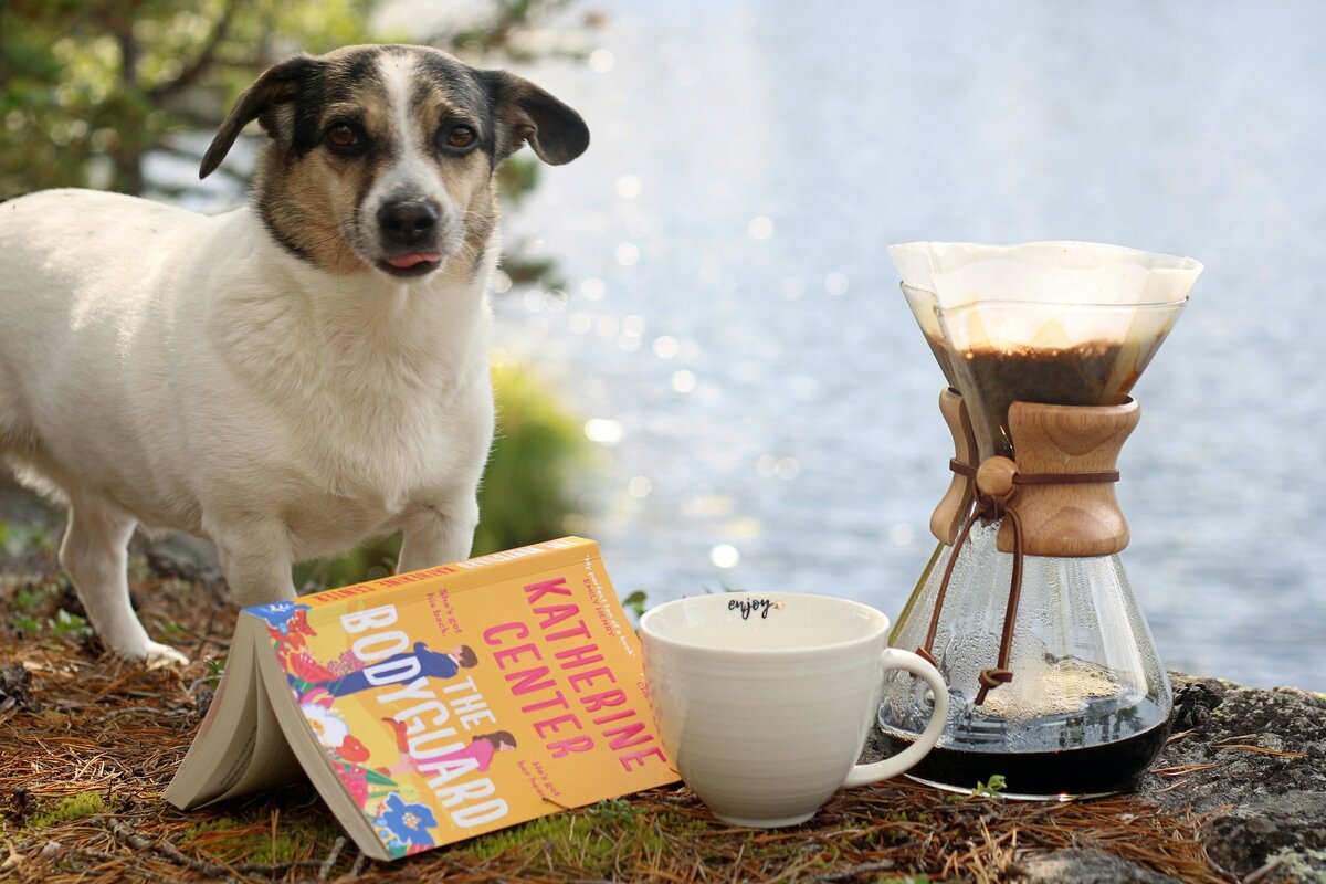 Фото с бесплатного фотостока https://unsplash.com, автор Elin Melaas