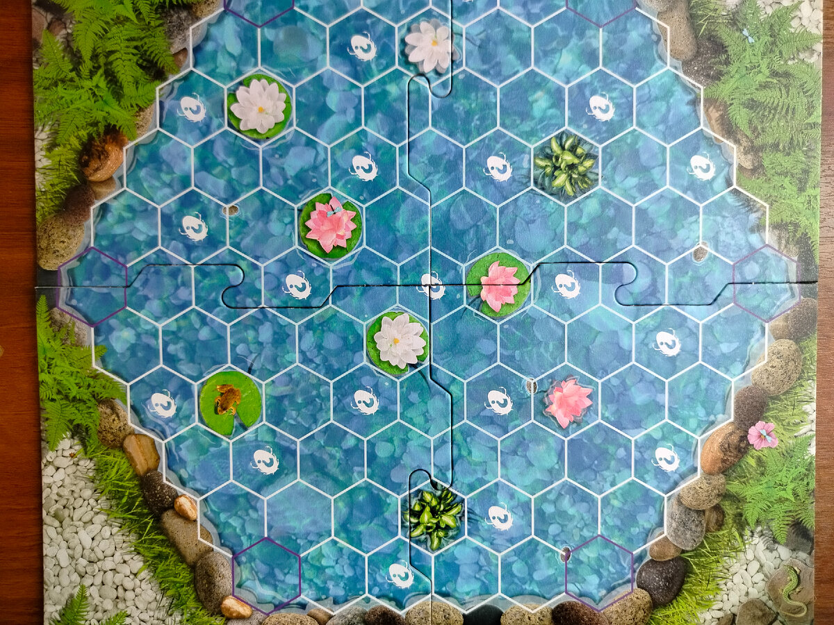 Пруд с лотосами