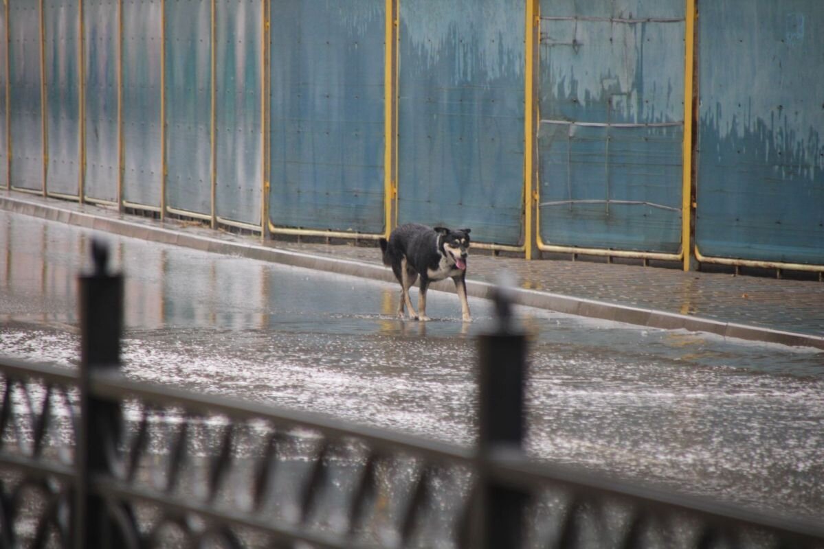 Фото: Е. Зимней 