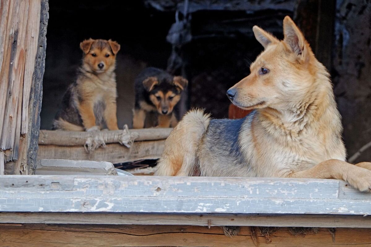 Фото: Е. Зимней