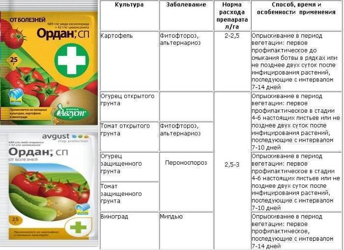 Чем опрыскать томаты от болезней. Препарат Ордан для томатов. Ордан для томатов от фитофторы. Препарат Ордан для томатов инструкция. Ордан фунгицид для клубники.