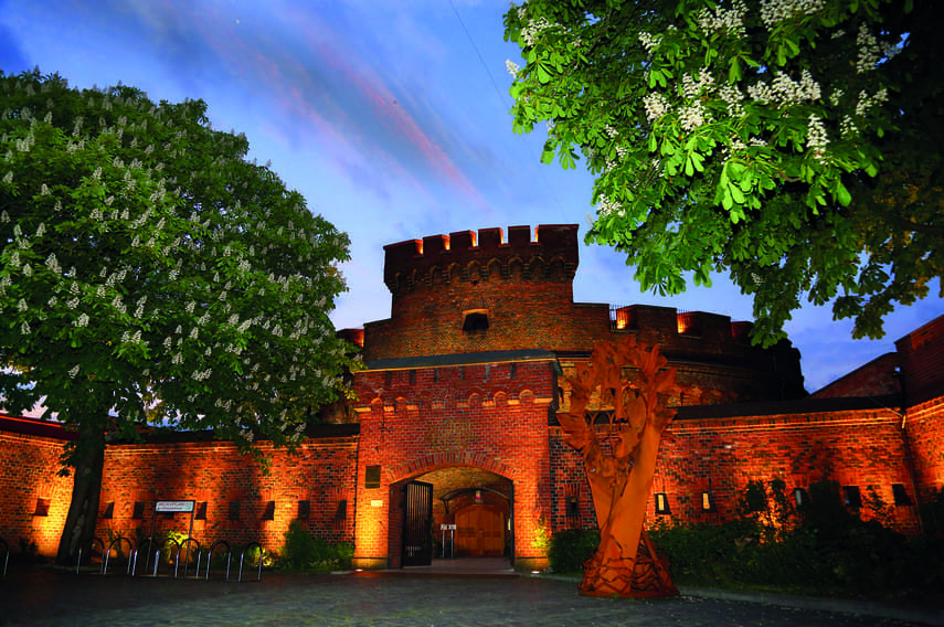 Источник фотографии: https://visit-kaliningrad.ru/entertainment/culture/museums/ambermuseum/