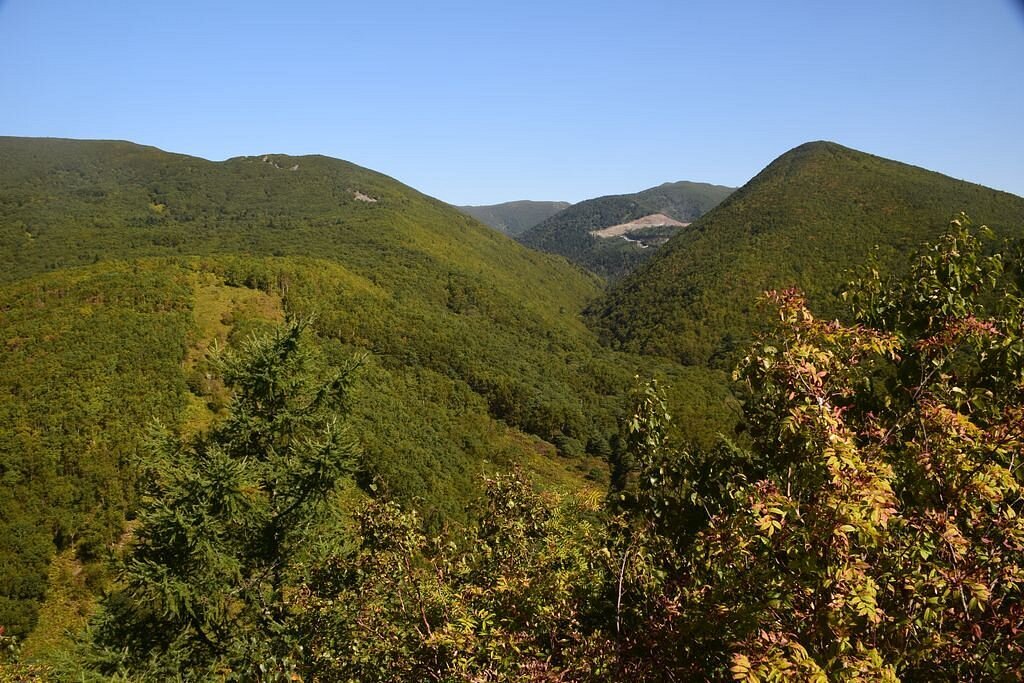 источник tripadvisor.ru