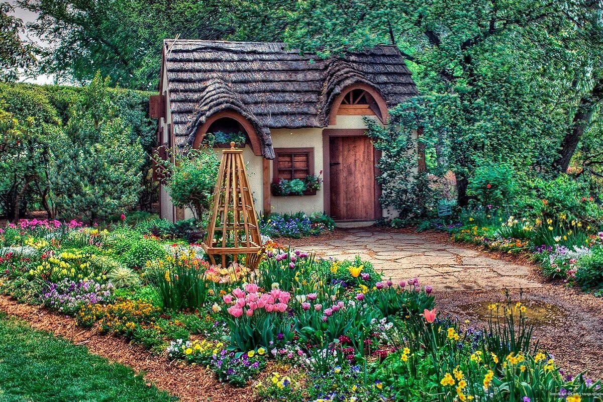 Фото из интерента