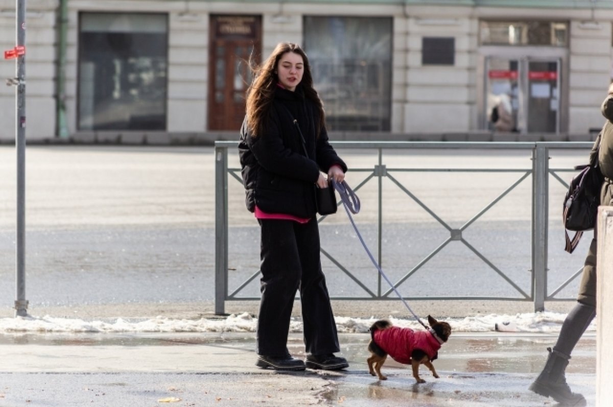    В Новосибирске в апреле прогнозируют до +18 градусов